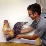 A photo of Glenn holding a Dibond sign cut out in the shape of a cockerel