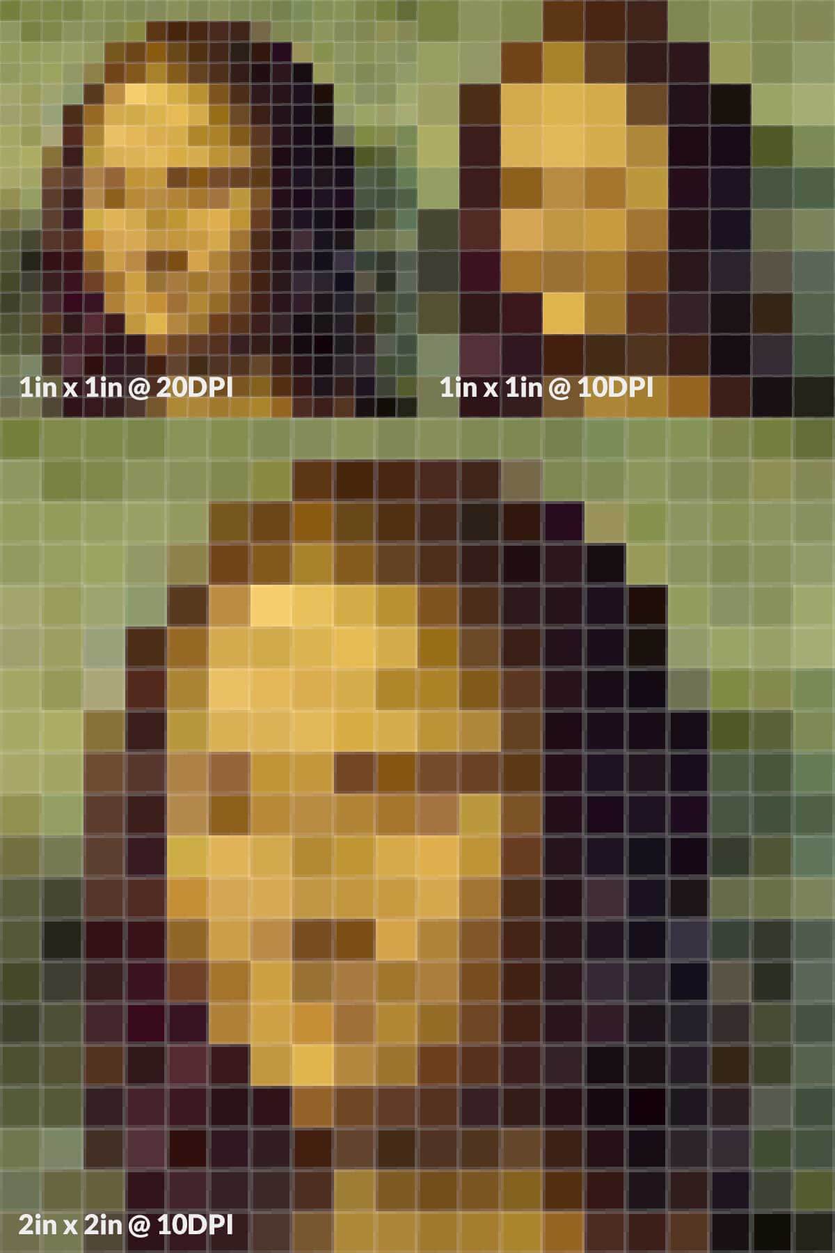 A digital Mona Lisa at different resolutions and sizes