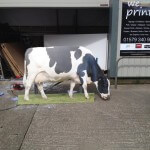 A photo of a double-sided, free-standing cow printed and cut-out for Grassland and Muck
