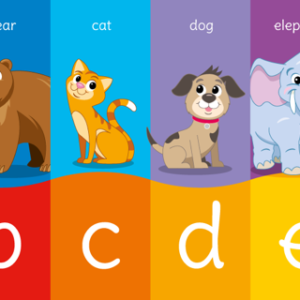 Animal Alphabet A to F